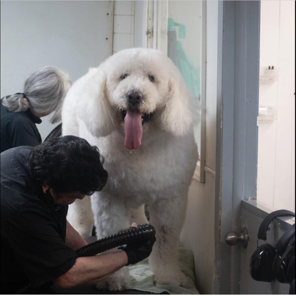 Images The Barrie Inn