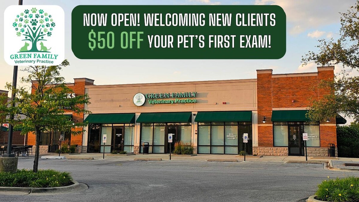 Images Green Family Veterinary Practice