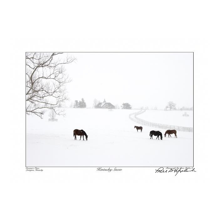 Images Kentucky Art And More