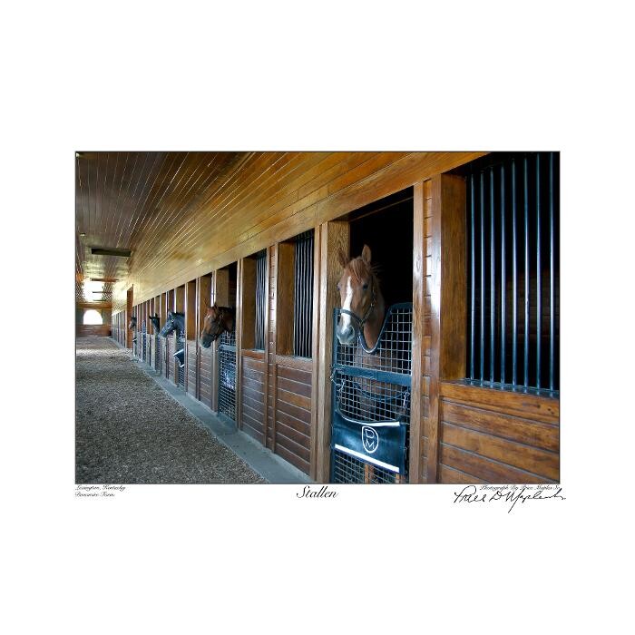 Images Kentucky Art And More