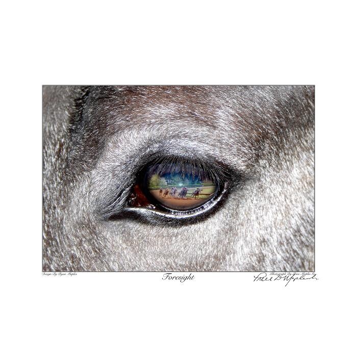 Images Kentucky Art And More