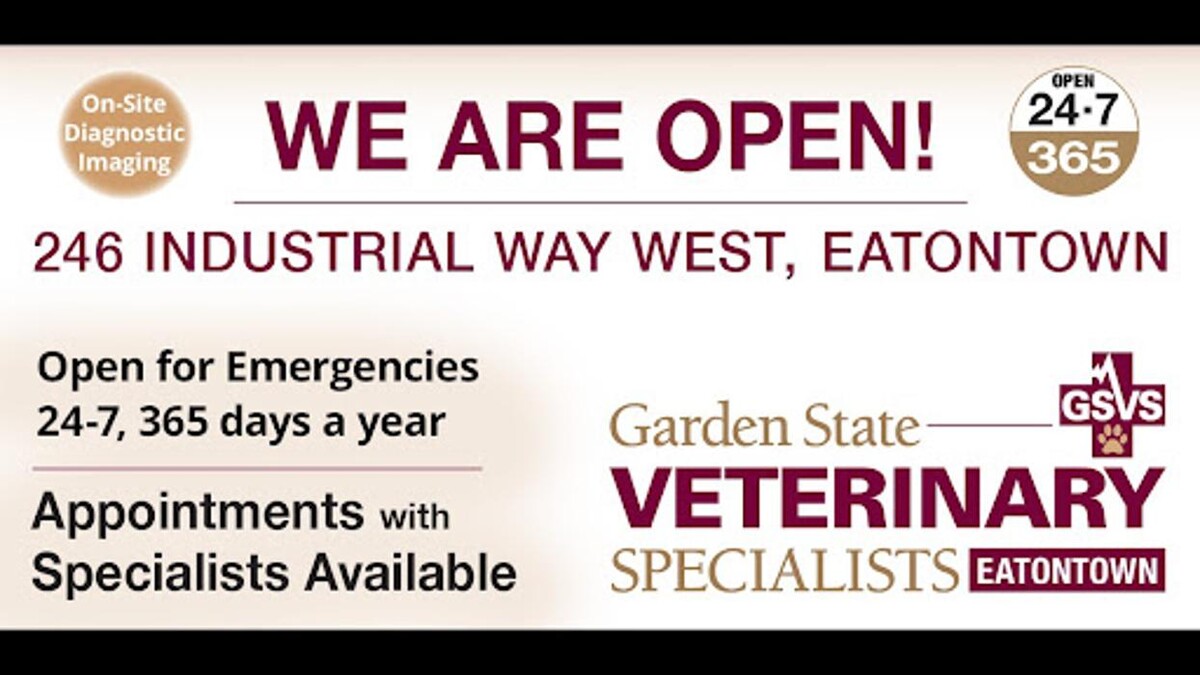 Images Garden State Veterinary Specialists Eatontown