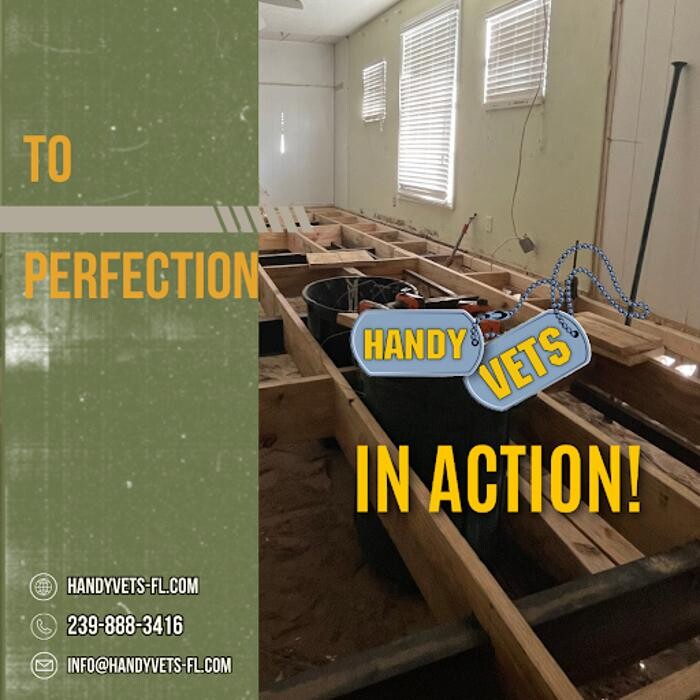 Images Handy Vets - Reconstruction