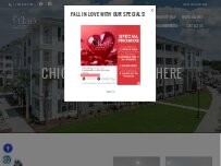 Website Screenshot The Village at Carnes Crossroads Apartments