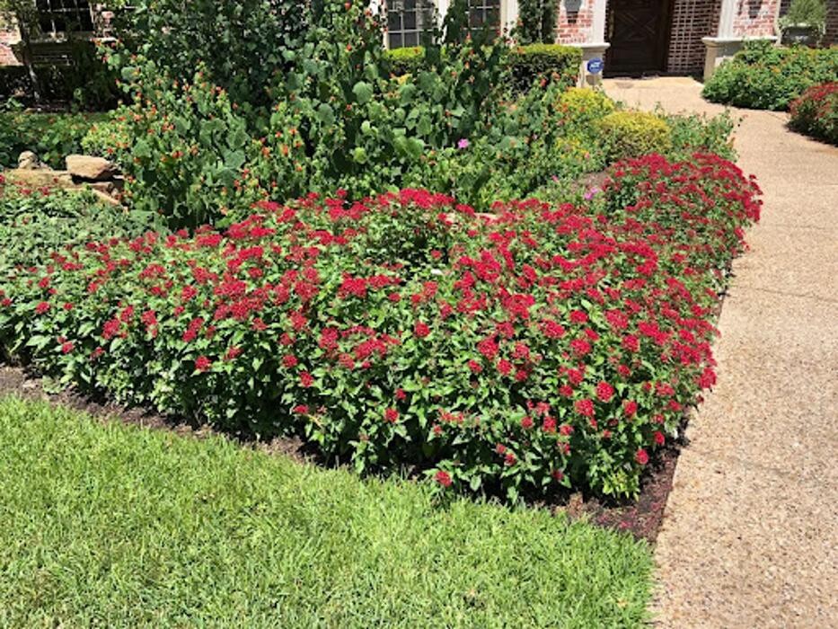 Images Sundrop Gardens Landscaping