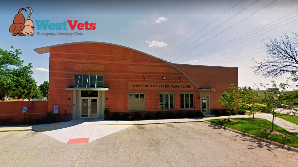 Images WestVets Emergency Veterinary Clinic