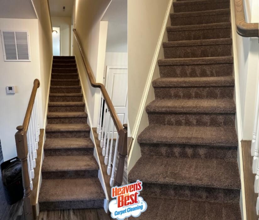 Images Heaven's Best Carpet & Upholstery Cleaning
