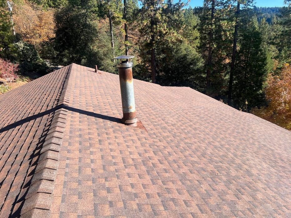Images Shield Guard Roofing