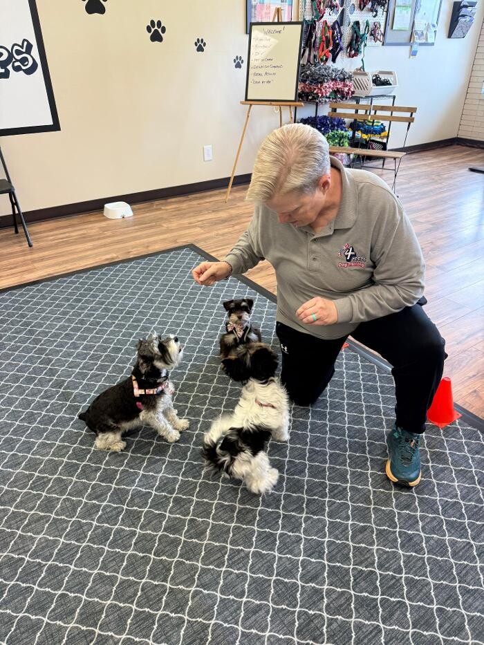 Images Pawz 4 Peeps Dog Training