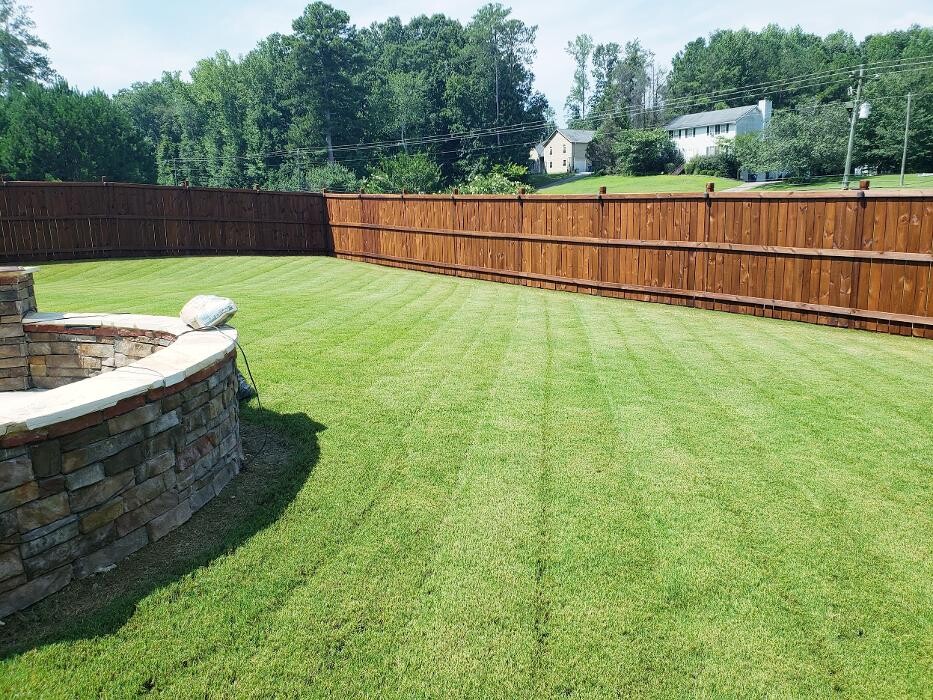 Images Top Turf Lawn Care and Pest Management