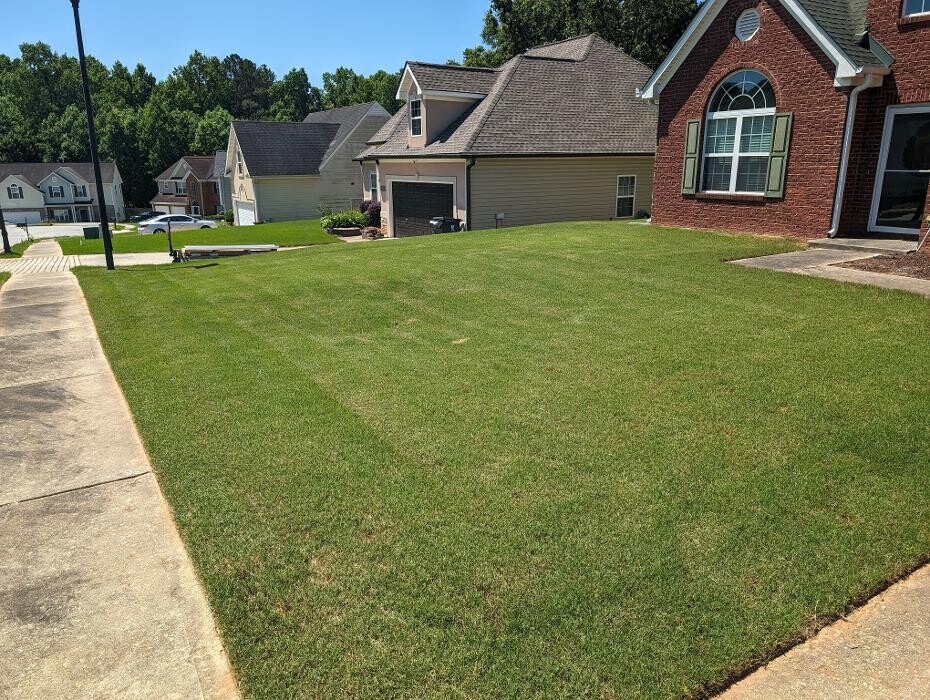 Images Top Turf Lawn Care and Pest Management