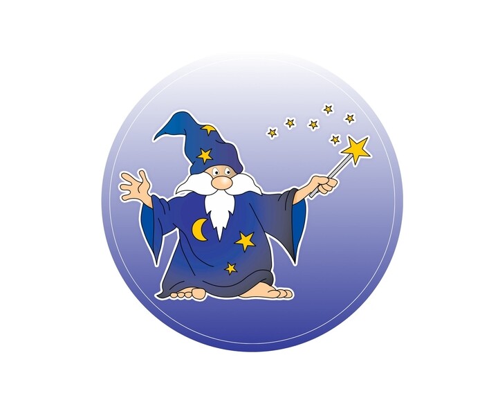 Wiz Team, Inc. Logo