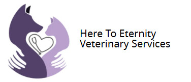 Here To Eternity Veterinary Services Logo
