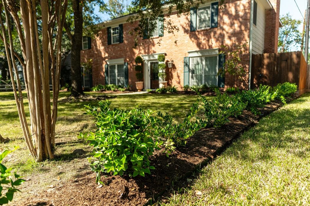 Images Absolute Lawn Care and Landscaping