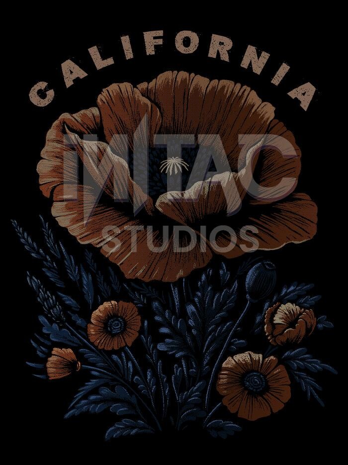 Images iN|tAc Studios