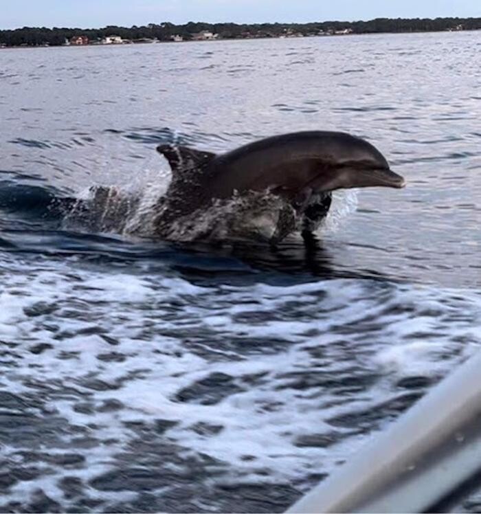 Images Prime Time Charters