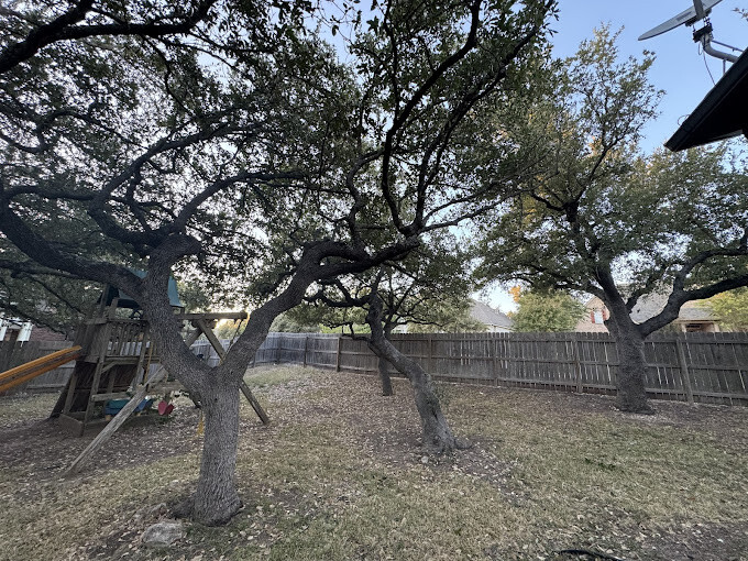 Images Good Guys Tree Service