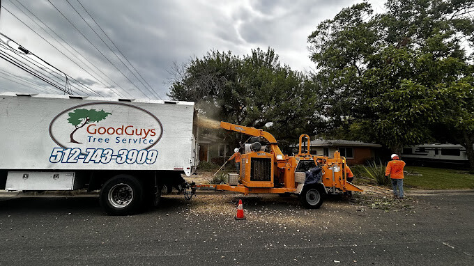 Images Good Guys Tree Service