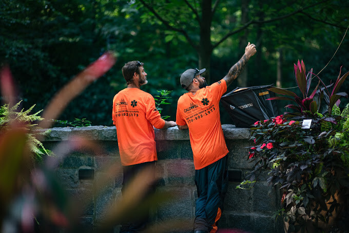 Images Caldwell Tree Care