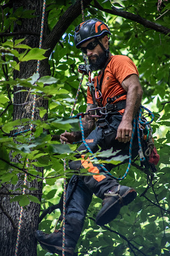 Images Caldwell Tree Care