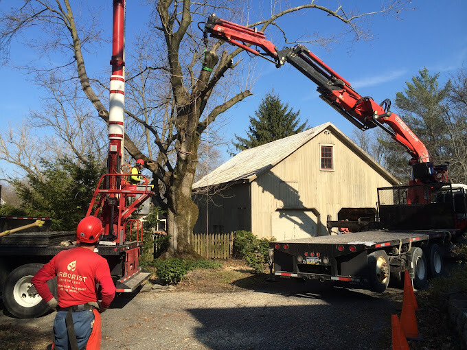 Images Arborist Enterprises, Inc.