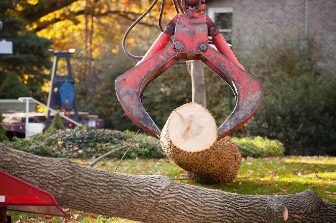 Images Arborist Enterprises, Inc.