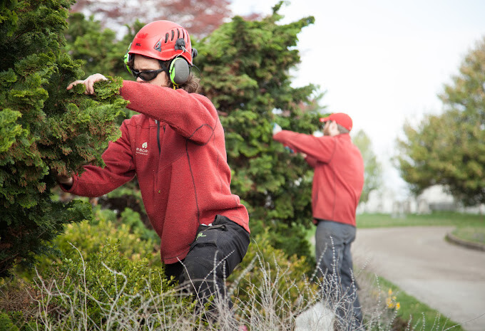 Images Arborist Enterprises, Inc.