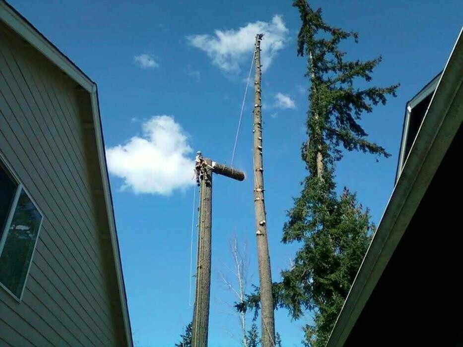 Images Limback Tree Services LLC