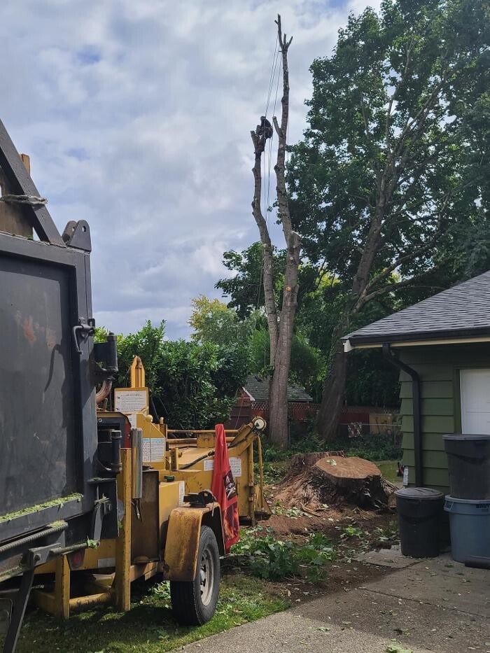 Images Limback Tree Services LLC