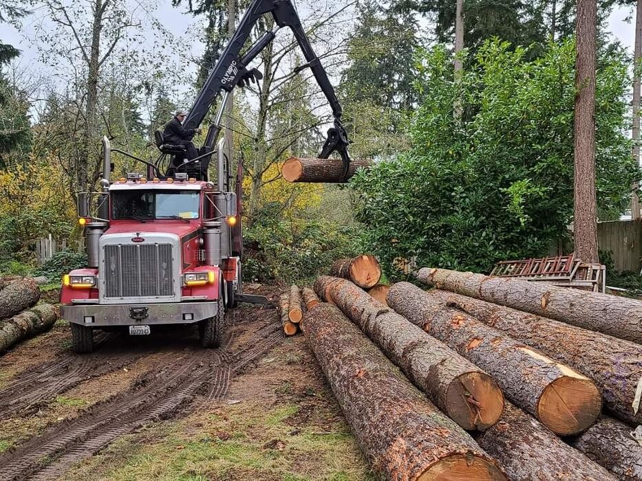 Images Limback Tree Services LLC