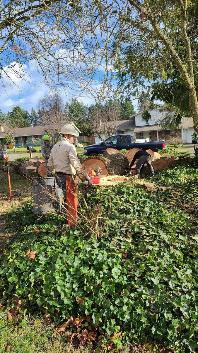 Images Limback Tree Services LLC