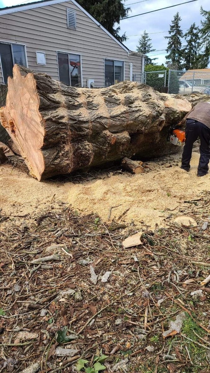 Images Limback Tree Services LLC