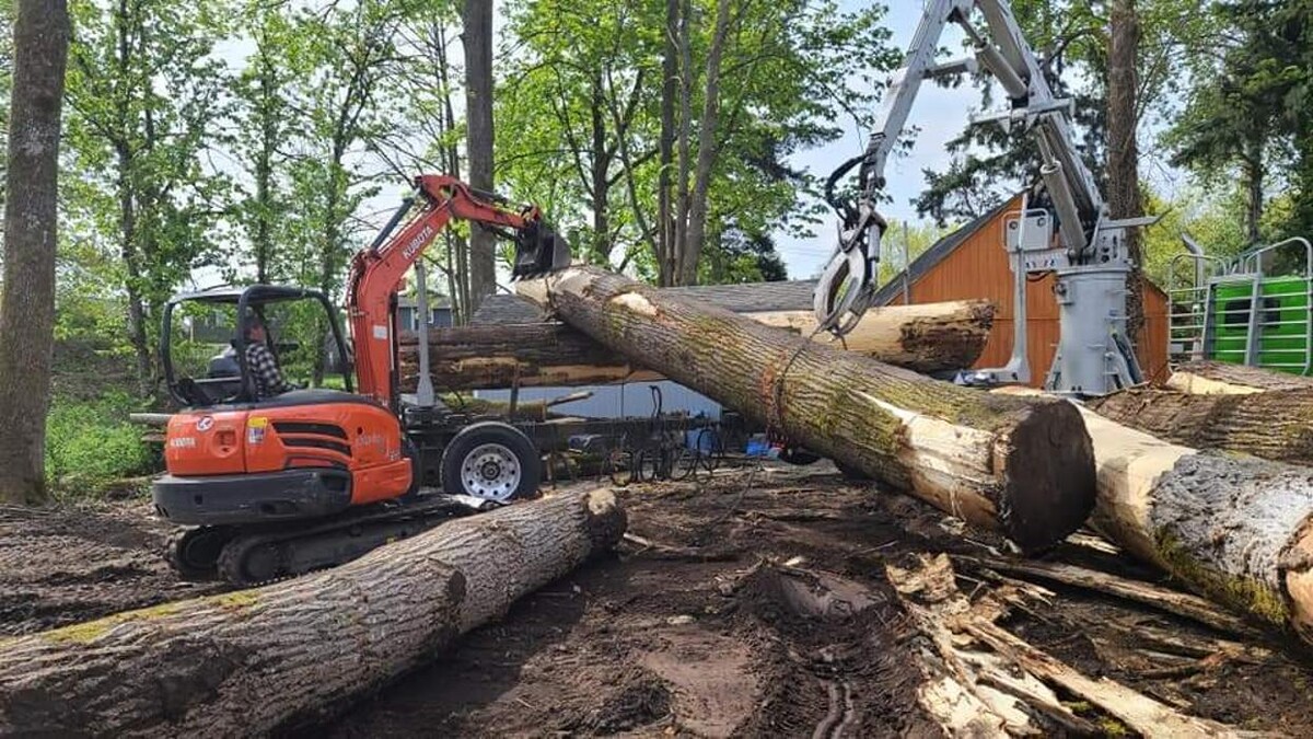 Images Limback Tree Services LLC