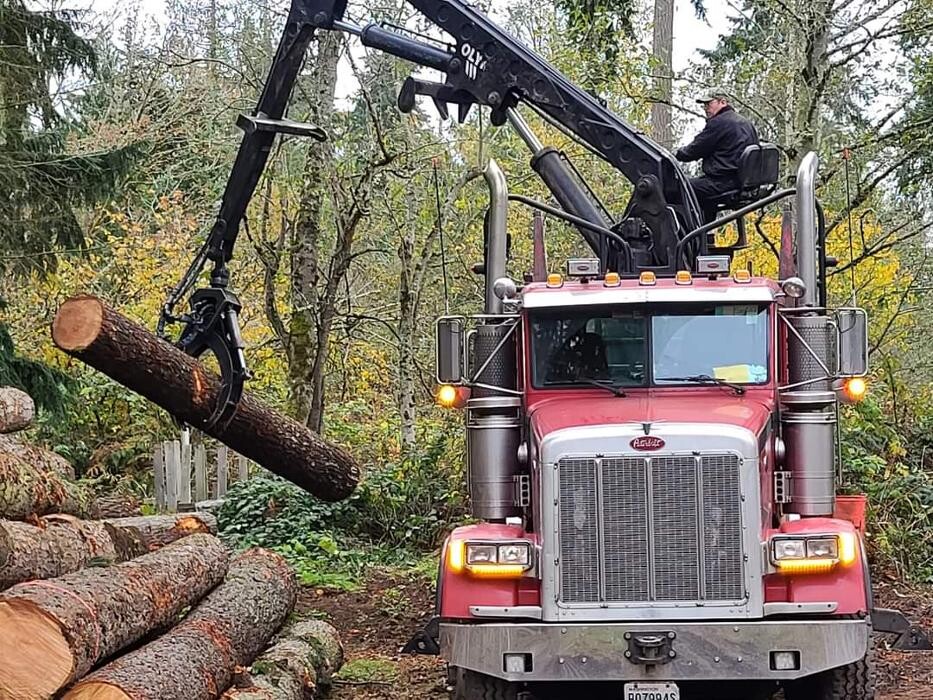 Images Limback Tree Services LLC