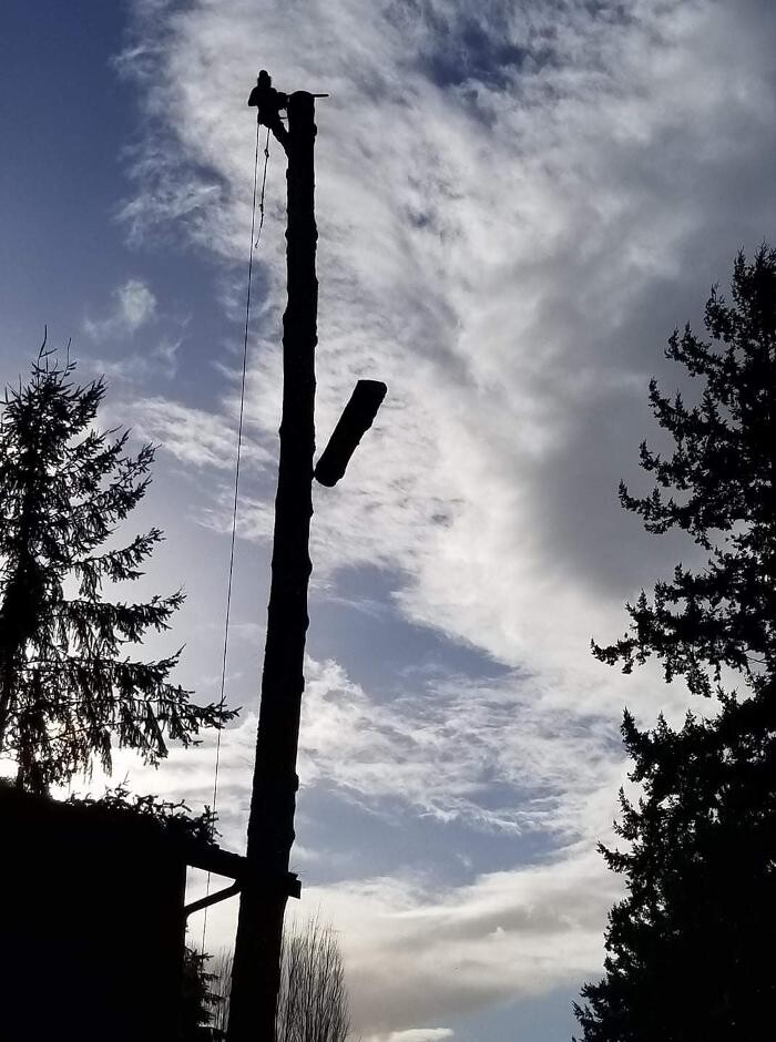 Images Limback Tree Services LLC