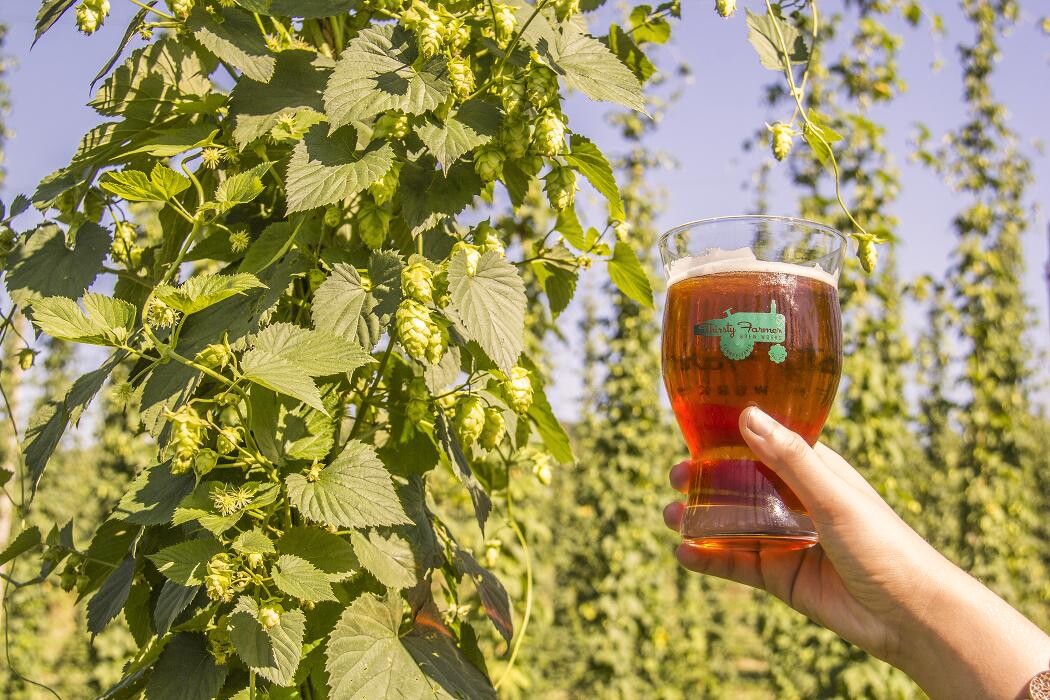 Images Thirsty Farmer Brew Works
