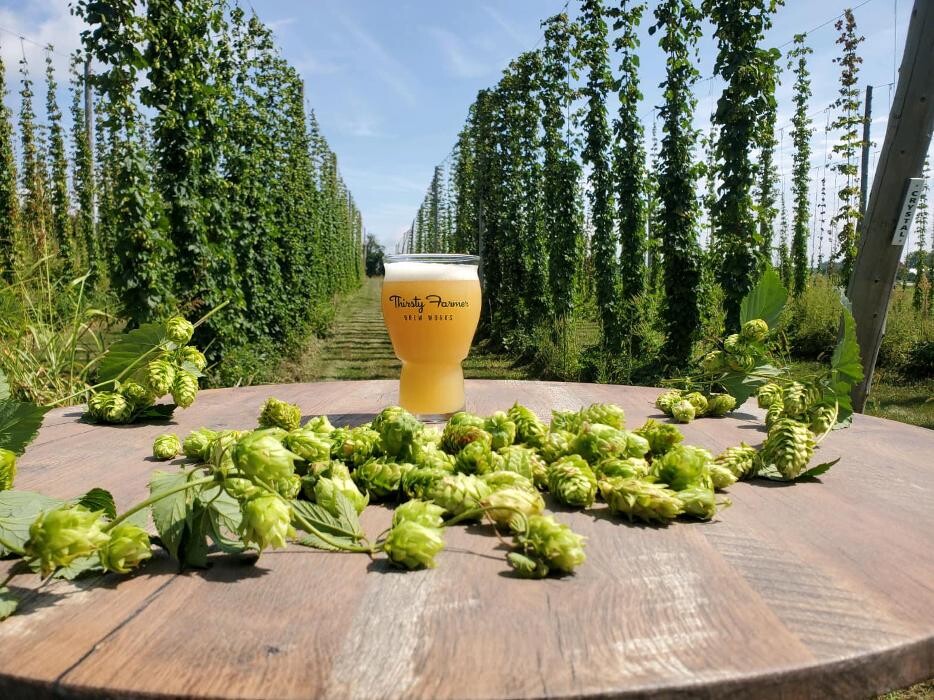 Images Thirsty Farmer Brew Works