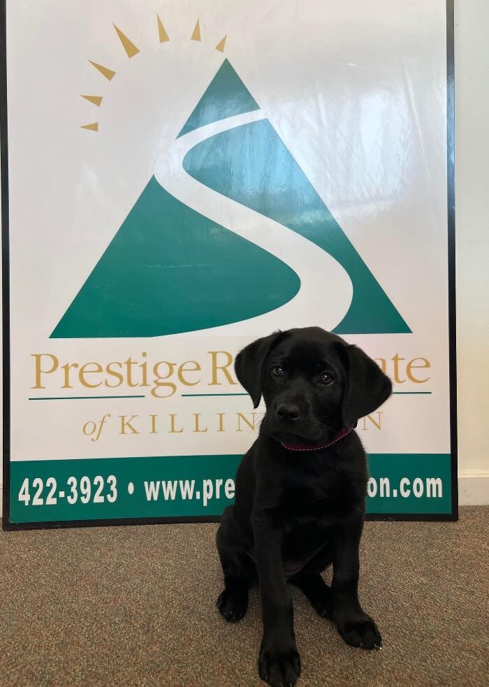 Images Prestige Real Estate