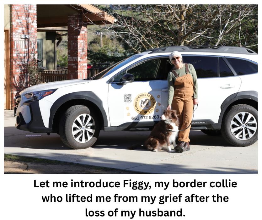 Images Stallion Springs Pet Sitting LLC