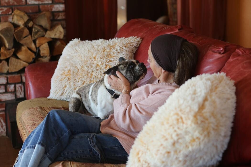 Images Stallion Springs Pet Sitting LLC