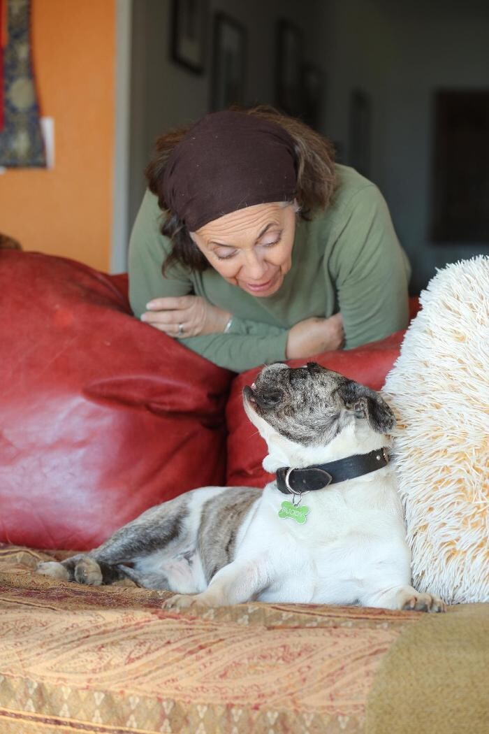 Images Stallion Springs Pet Sitting LLC