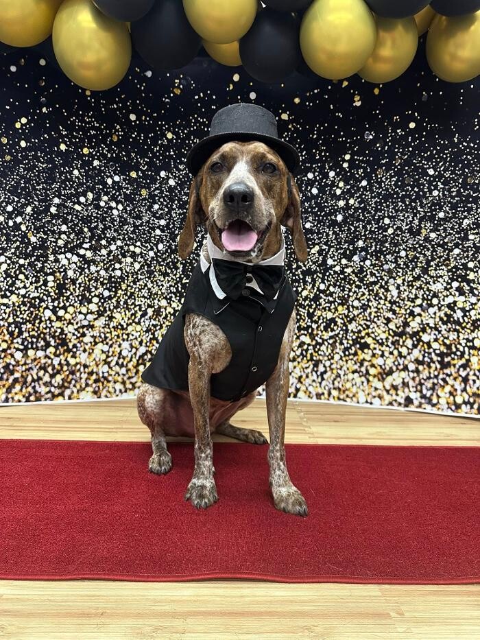 Images Camp Ruff It Doggie Daycare & Boarding