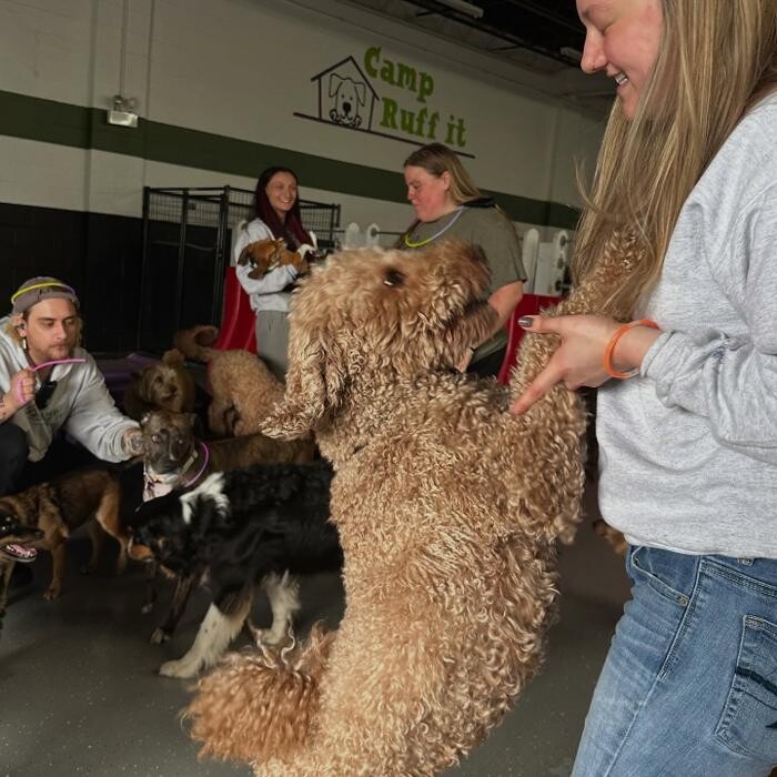 Images Camp Ruff It Doggie Daycare & Boarding