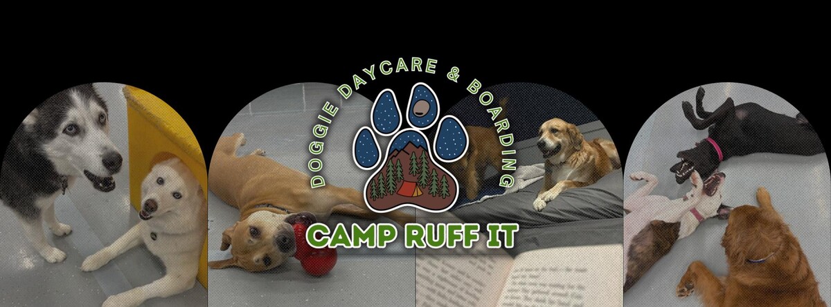 Images Camp Ruff It Doggie Daycare & Boarding