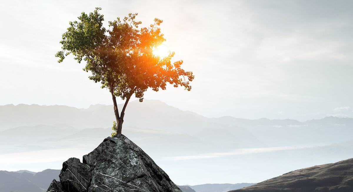 Images RockBridge Counseling