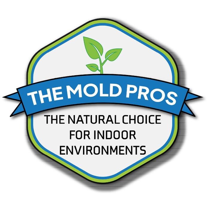 The Mold Pros of Texas Logo
