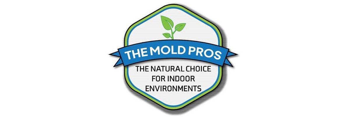 Images The Mold Pros of Texas