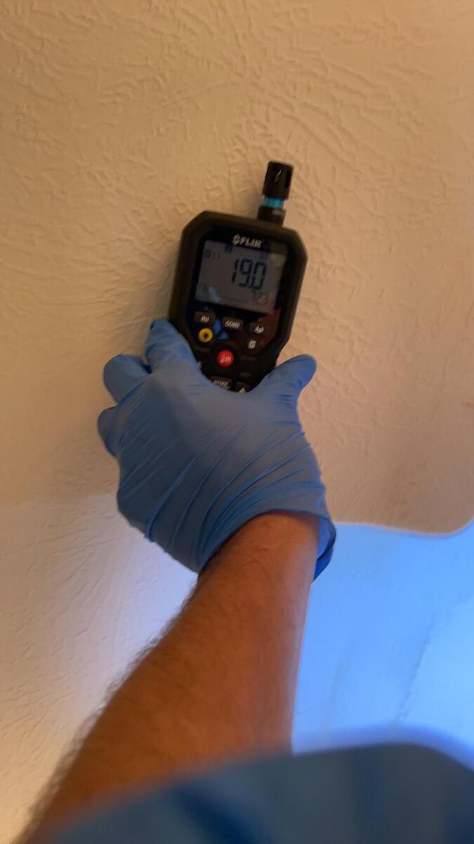 Images The Mold Pros of Texas