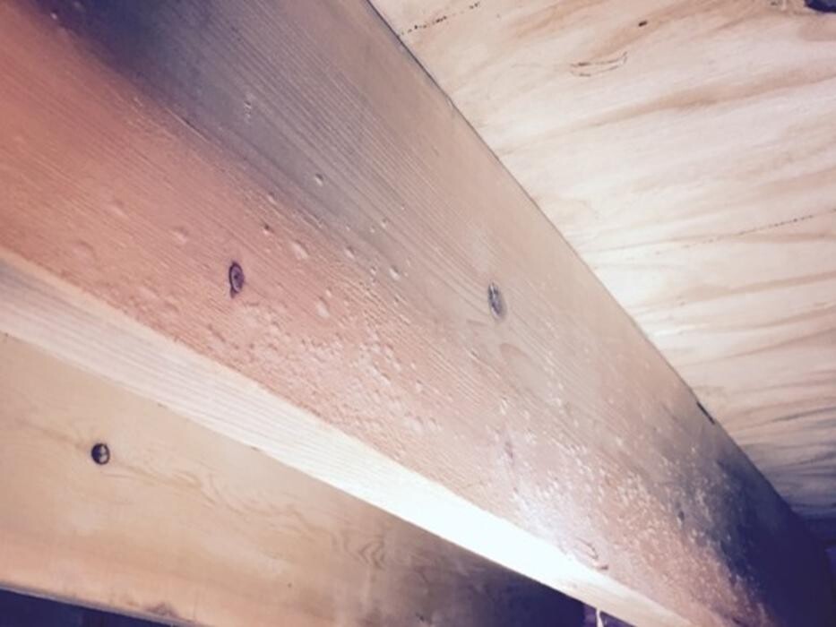 Images The Mold Pros of Texas