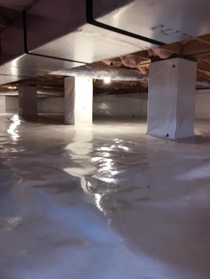 Images The Mold Pros of Texas